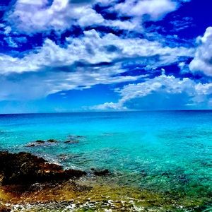 Meet your Posher, Zack